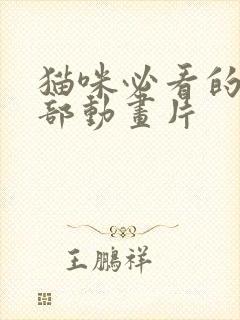 猫咪必看的10部动画片