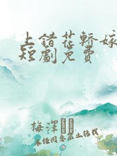 上错花轿嫁王爷短剧免费