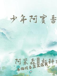 少年阿宾番外篇