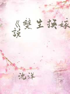 《双生换嫁》小说