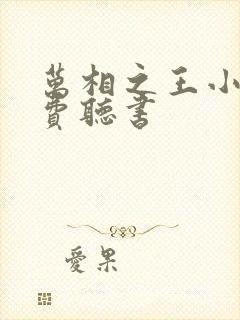 万相之王小说免费听书