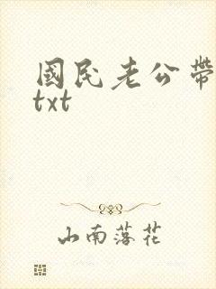 国民老公带回家txt