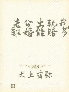 老公出轨我起诉离婚能赔多少钱