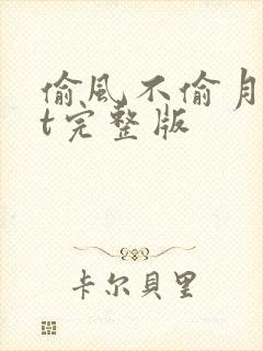 偷风不偷月txt完整版