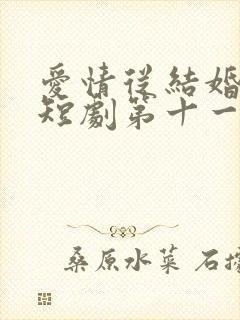 爱情从结婚开始短剧第十一集
