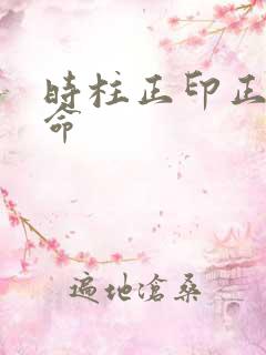 时柱正印正官女命