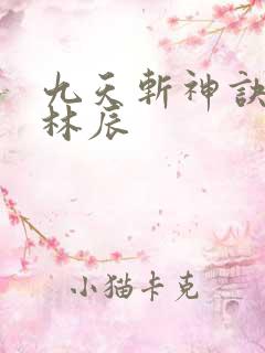 九天斩神诀一一林辰