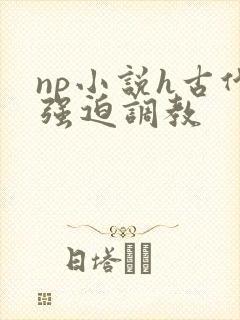 np小说h古代强迫调教