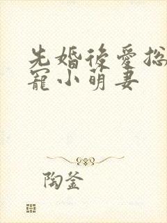先婚后爱总裁盛宠小萌妻