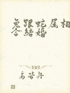 兔跟蛇属相合不合结婚
