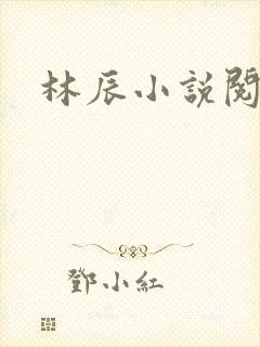 林辰小说阅读