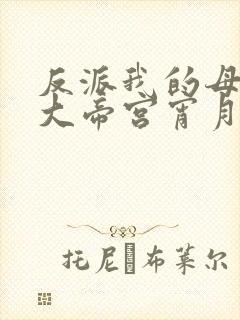 反派我的母亲是大帝宫宵月无绿