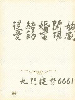 从结婚开始谈恋爱的电视剧免费观看