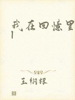 我在回忆里等你l