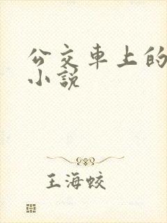 公交车上的乱欲小说