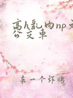 高h乱肉np文公交车