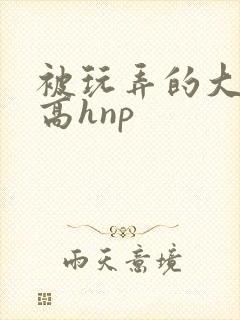被玩弄的大小姐高hnp