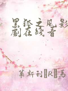 黑狐之风影电视剧在线看