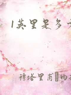 1英里是多少里