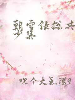 朝雪录总共有多少集