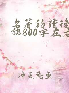 名著的读后感集锦800字左右