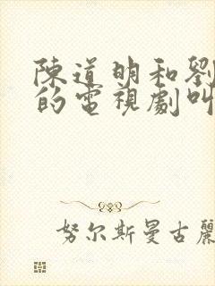 陈道明和刘蓓演的电视剧叫什么名字