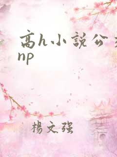 高h小说公交车np