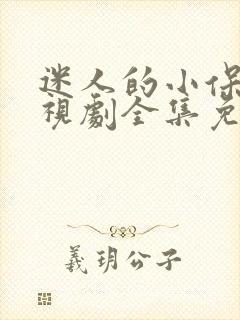 迷人的小保姆电视剧全集免费观看