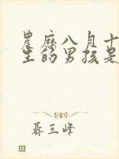 农历八月十六出生的男孩是什么命