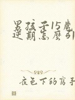 男孩子15岁叛逆期怎么引导