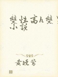 双性高h双男主小说