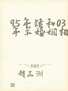 95年猪和03年羊婚姻相配吗
