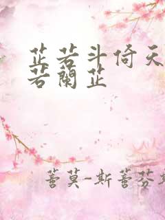 芷若斗倚天-雅若兰芷