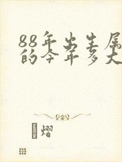88年出生属龙的今年多大了