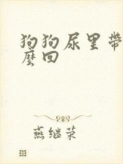狗狗尿里带血怎么回