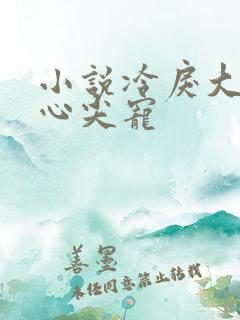 小说冷戾大佬的心尖宠