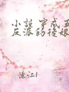 小说 穿成五个反派的后娘