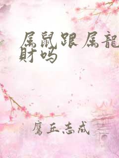 属鼠跟属龙的合财吗