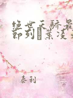 绝世天骄最新章节列·叶凌天