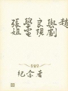 张学良与赵四小姐电视剧