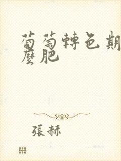 葡萄转色期用什么肥
