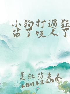 小狗打过狂犬疫苗了咬人了要打针吗