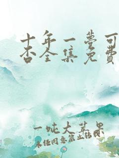 十年一梦可见卿否全集免费看