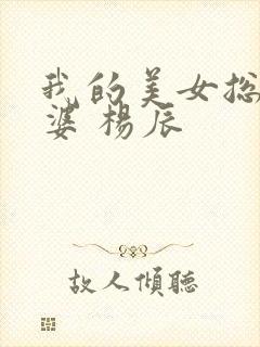 我的美女总裁老婆 杨辰