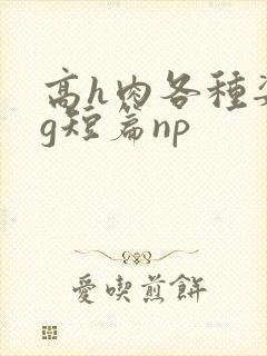 高h肉各种姿势g短篇np