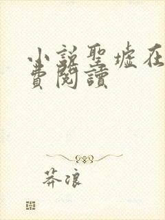 小说圣墟在线免费阅读