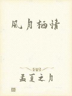 风月栖情