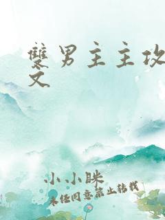 双男主主攻生子文