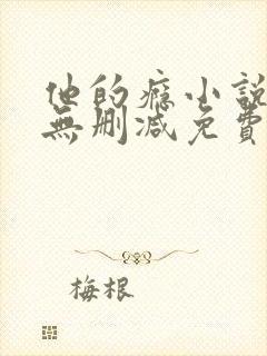 他的瘾小说全文无删减免费阅读