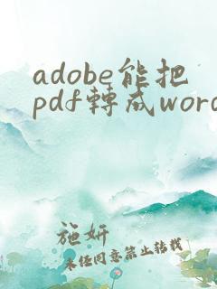 adobe能把pdf转成word吗